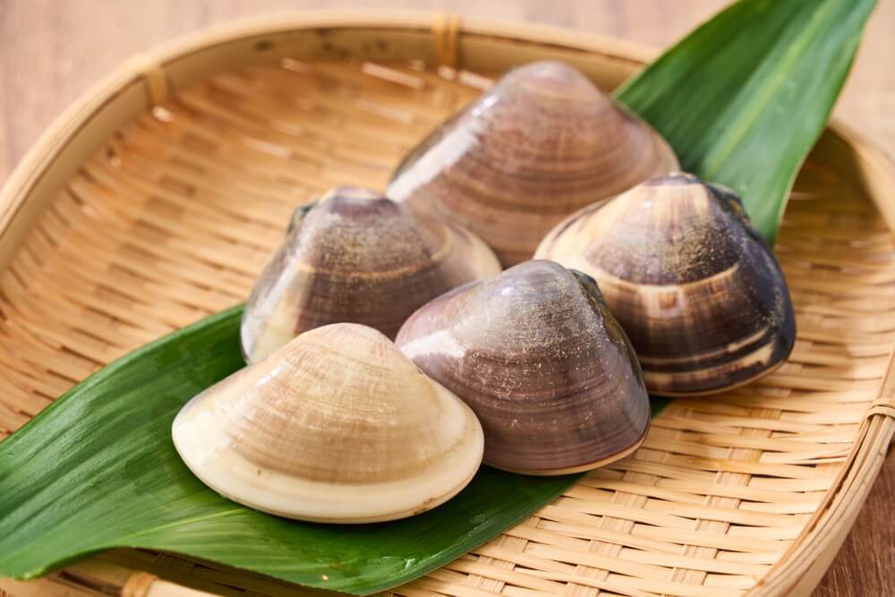 春の一皿2